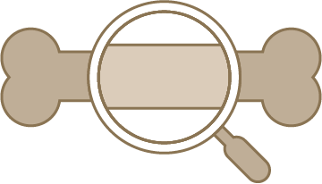 osteoporose icon